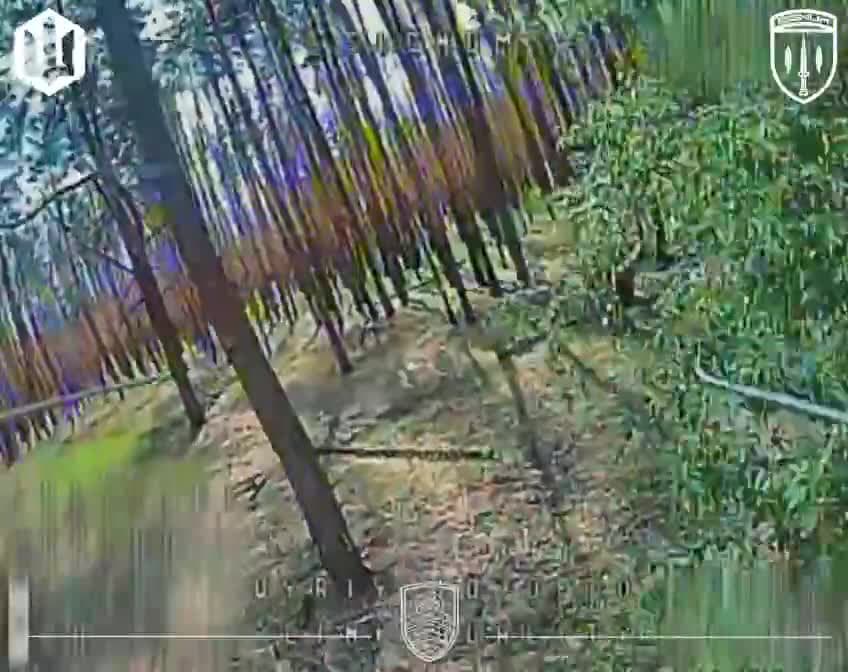 FPV Ukraine video #2004
