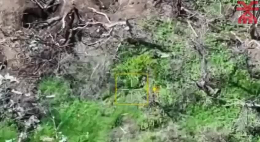 FPV Ukraine video #2008