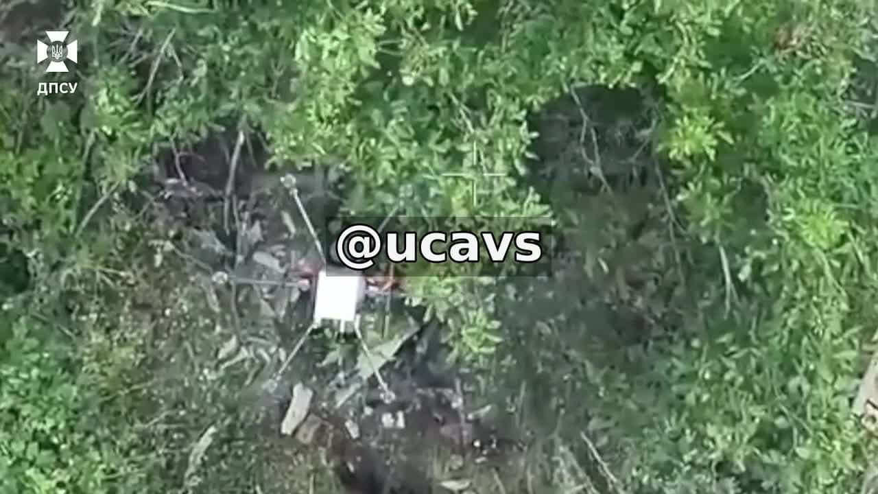 **🔥 Важкі бомбери «Vampire» прикордонників «**[**Фенікса**](https://t.me/feniksdpsu)**» несуть окупантам вог...