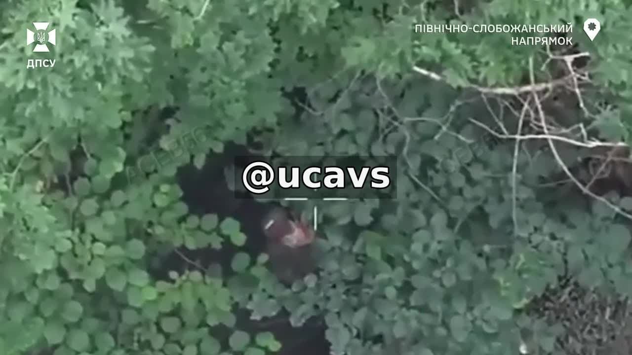 **⚡️ Прикордонники бригади «Сталевий кордон» завдають ворогу нових втрат на Північно-Слобожанському та Курськ...