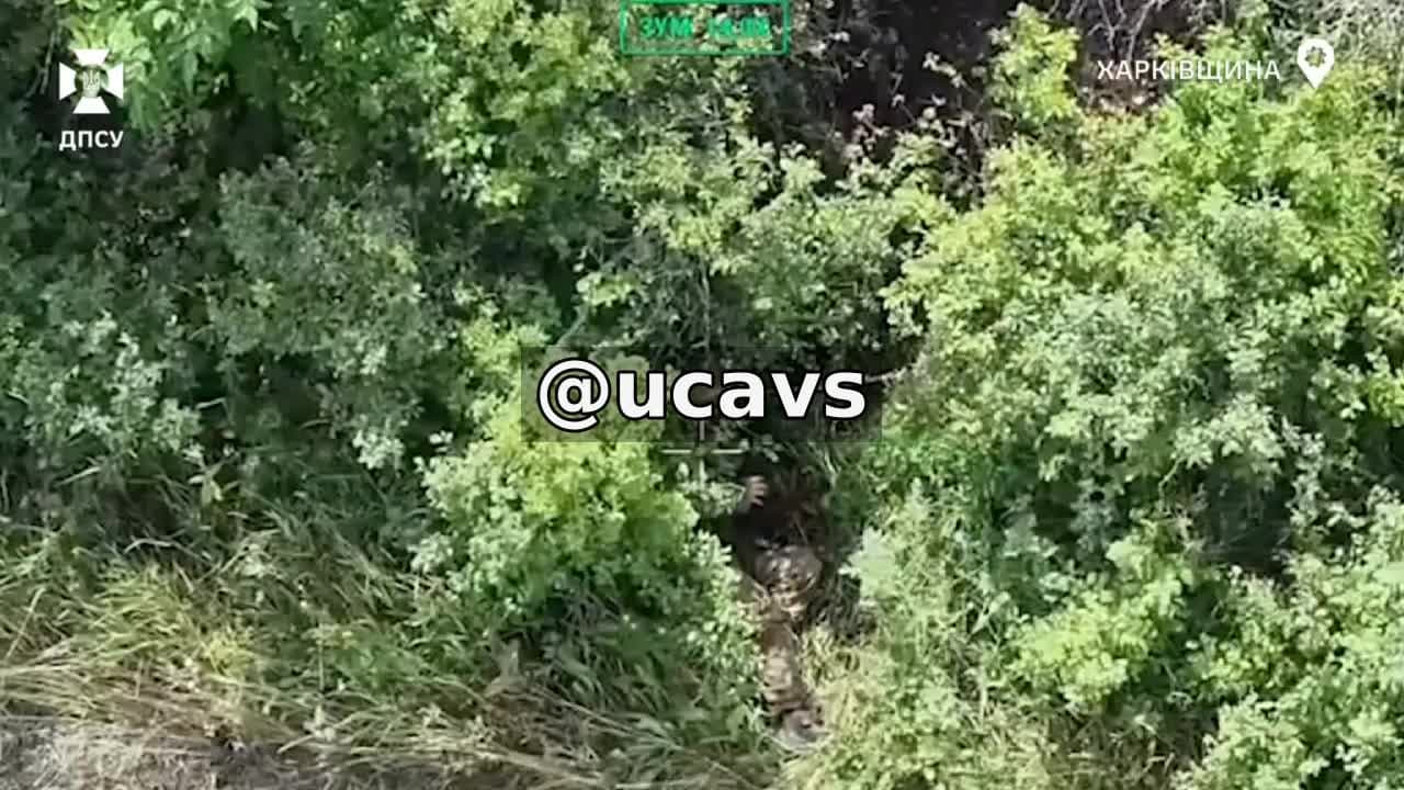 Минулого тижня противник активно намагався прорватися через державний кордон на Південно-Слобожанському напря...