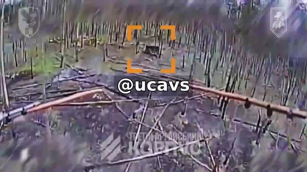 Палимо ворожі гармати!