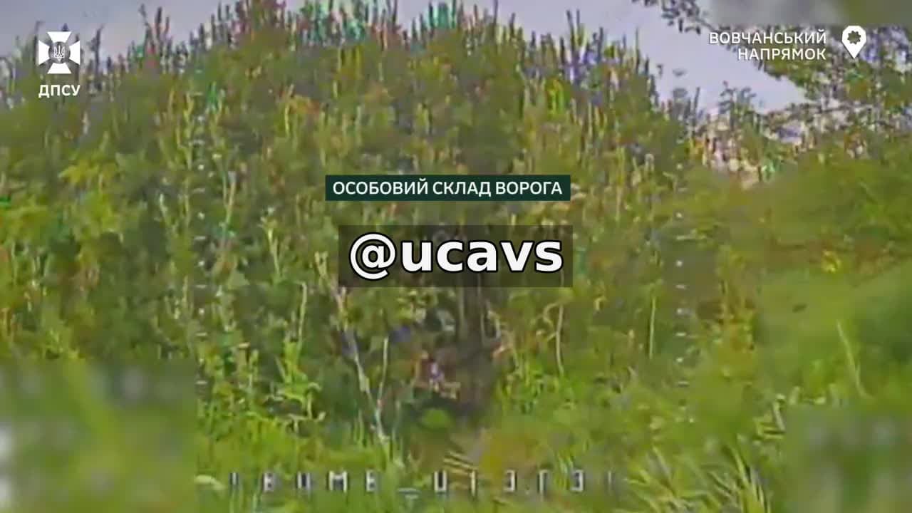**Прикордонники зірвали штурм росіян на Вовчанському напрямку ще до його початку**